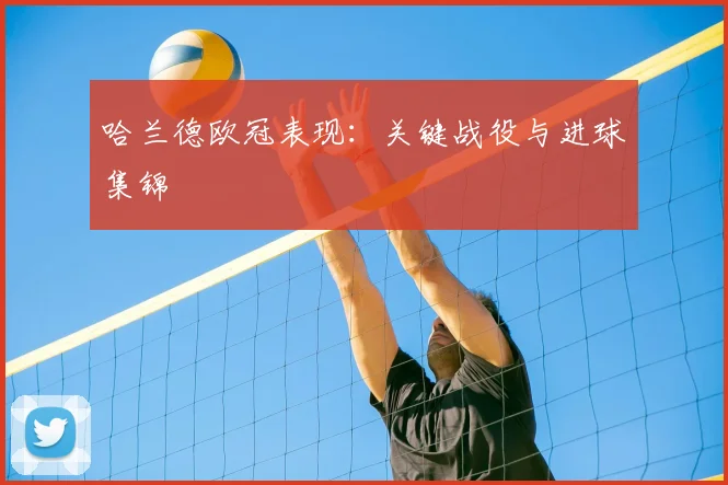 哈兰德欧冠表现:关键战役与进球集锦