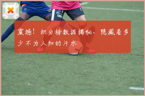 震撼！积分榜数据揭秘，隐藏着多少不为人知的汗水