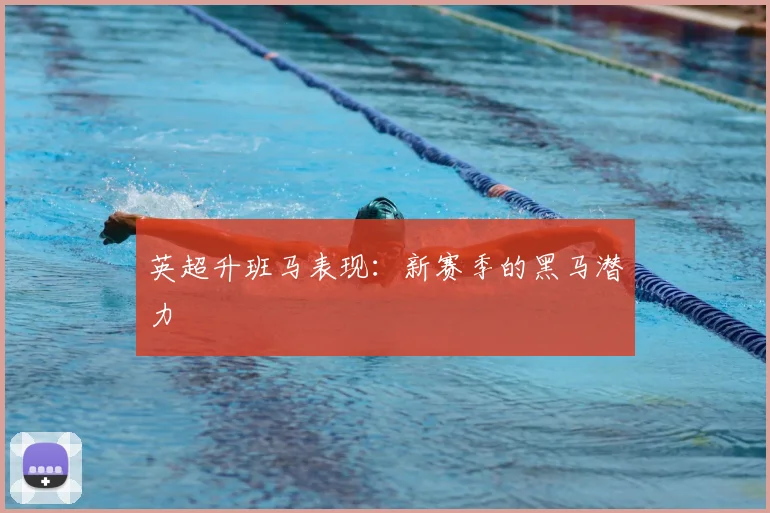 英超升班马表现:新赛季的黑马潜力
